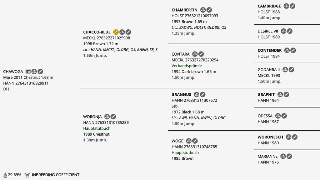 Chawoga – Horsetelex pedigree overview