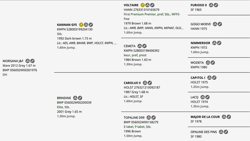 Morgana J&F – Horsetelex pedigree overview