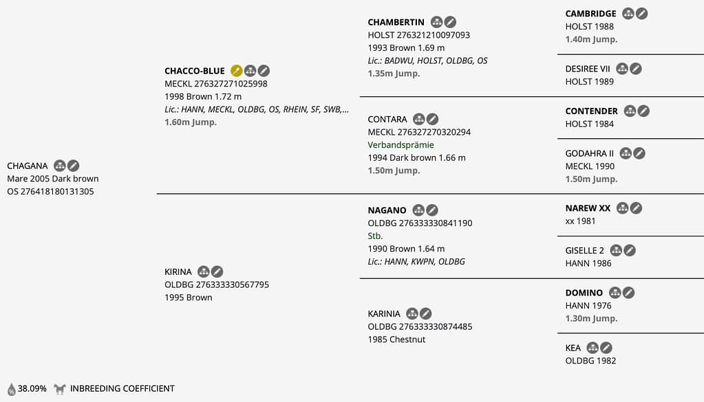 Chagana – Horsetelex pedigree overview