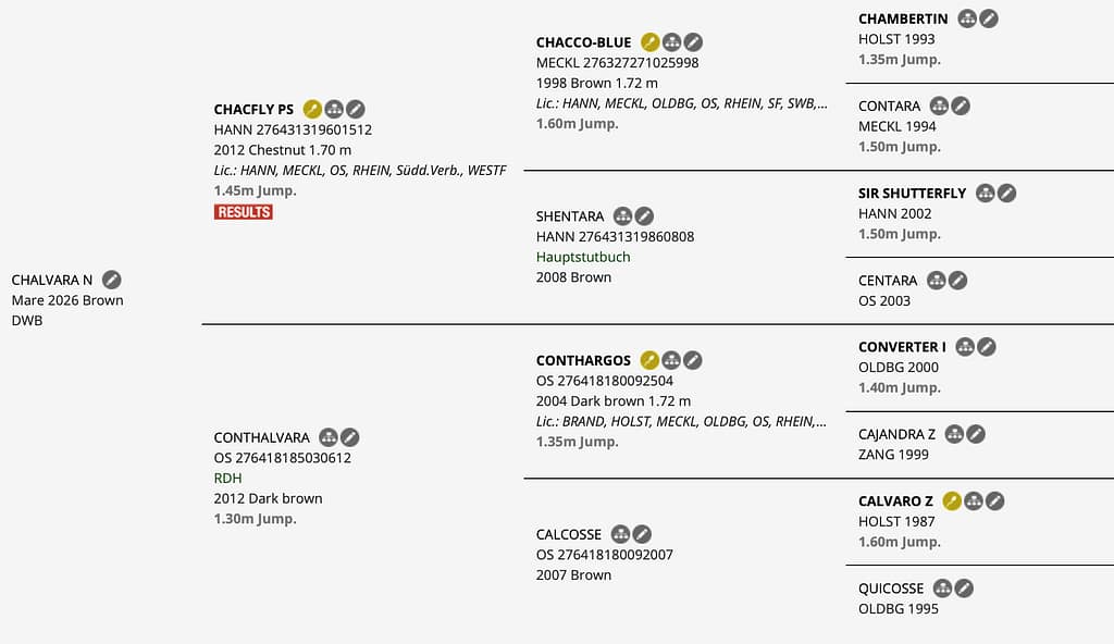 Chalvara N pedigree screenshot – Chacfly PS × Conthargos × Calvaro Z