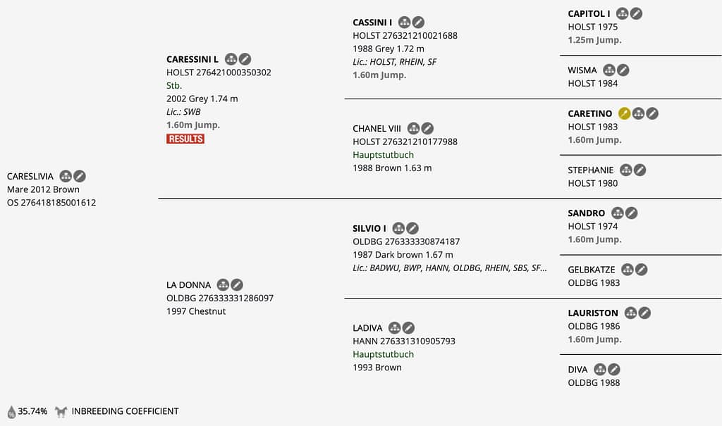 Careslivia – Horsetelex pedigree overview