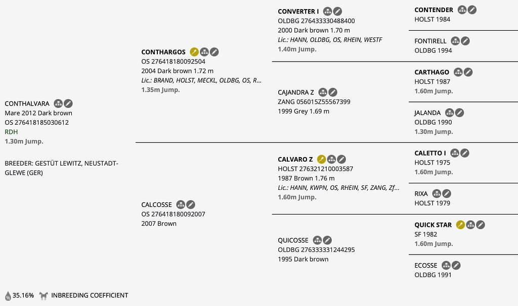 Conthalvara – Horsetelex pedigree overview