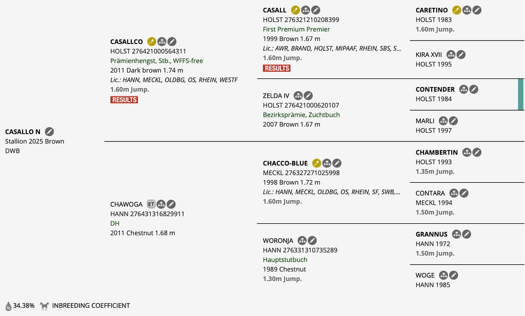 Casallo N – Horsetelex pedigree overview