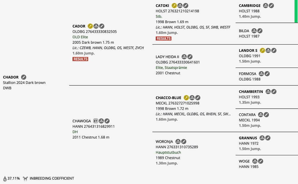Chador – Horsetelex pedigree overview