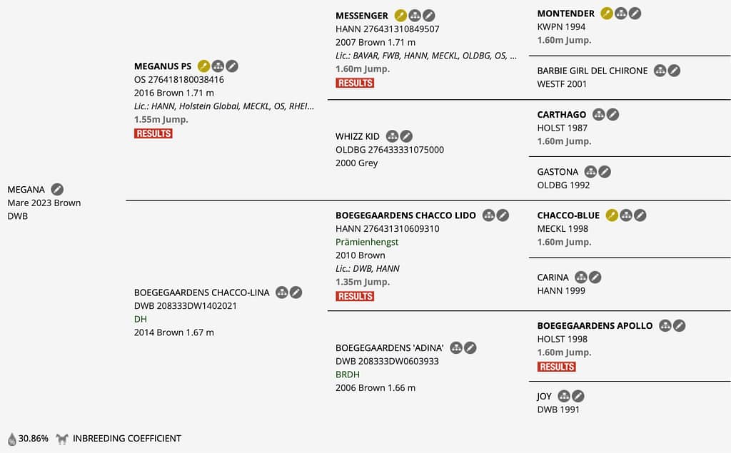 Megana – Horsetelex pedigree overview