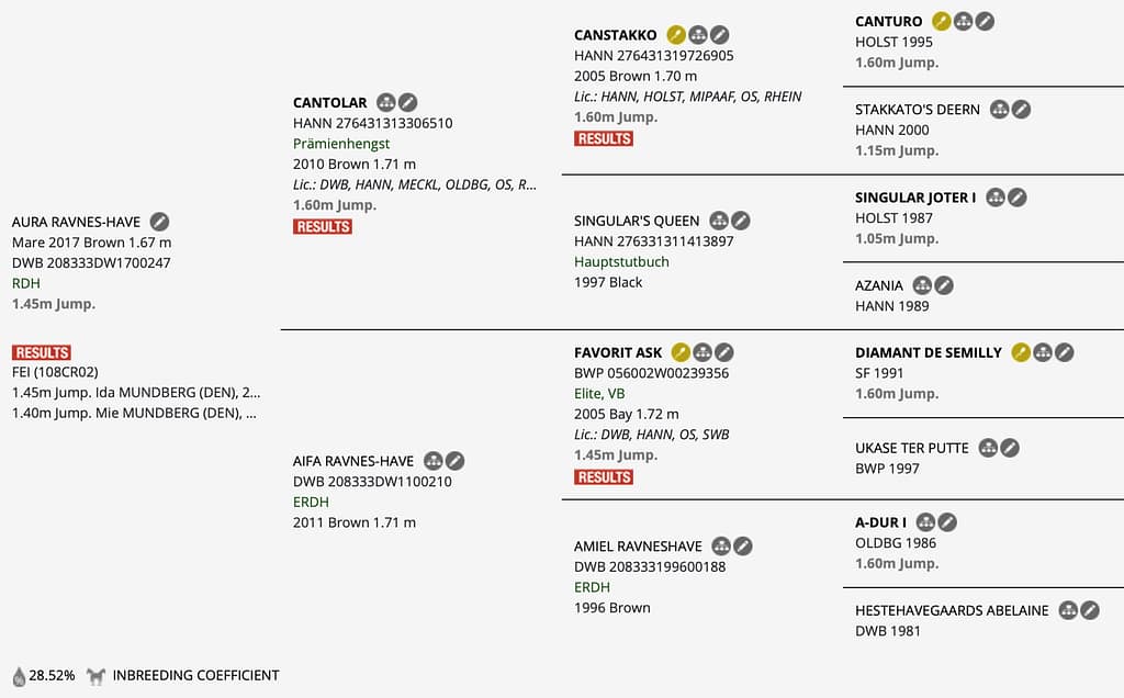 Aura – Horsetelex pedigree overview