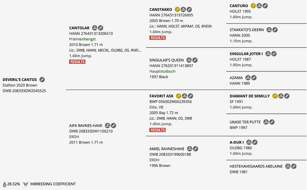 Cantos – Horsetelex pedigree overview