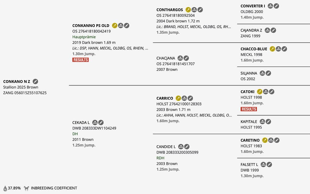 Conkano N – Horsetelex pedigree overview