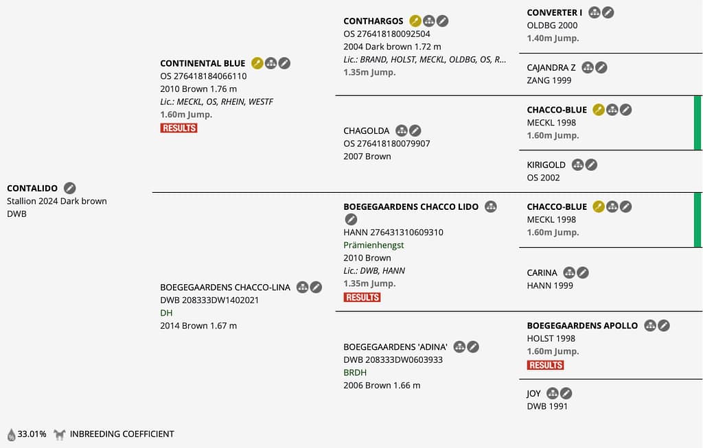 Contalido – Horsetelex pedigree overview