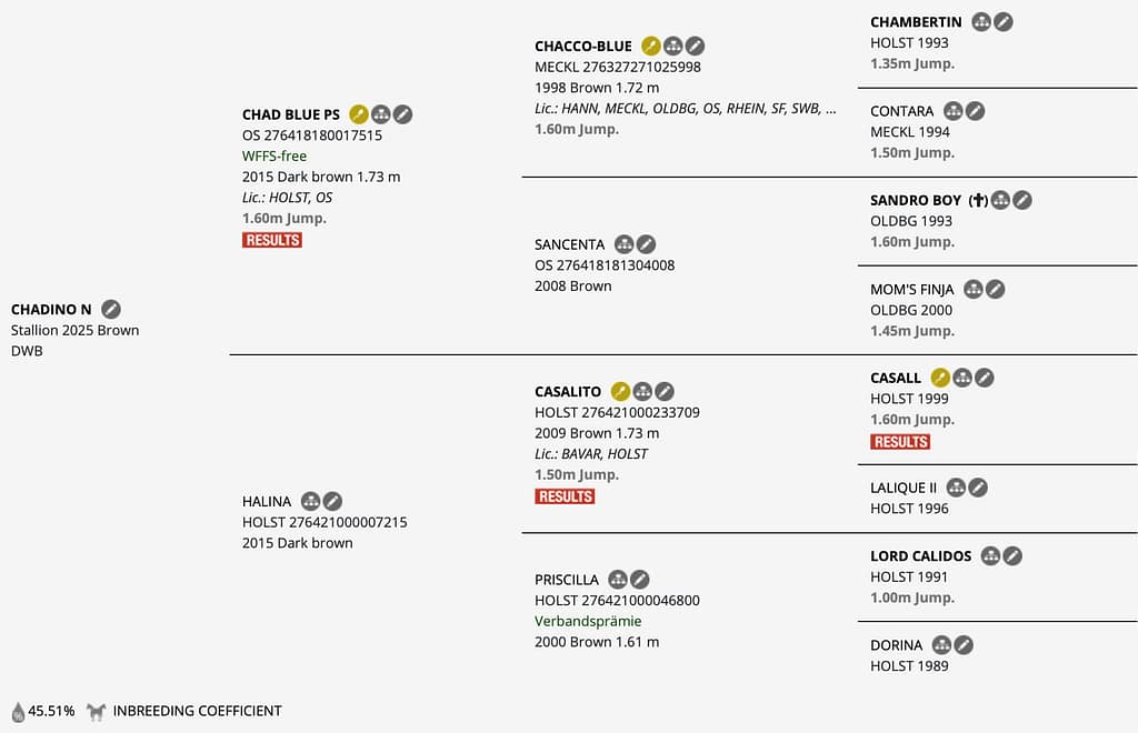 Chadino N – Horsetelex pedigree overview