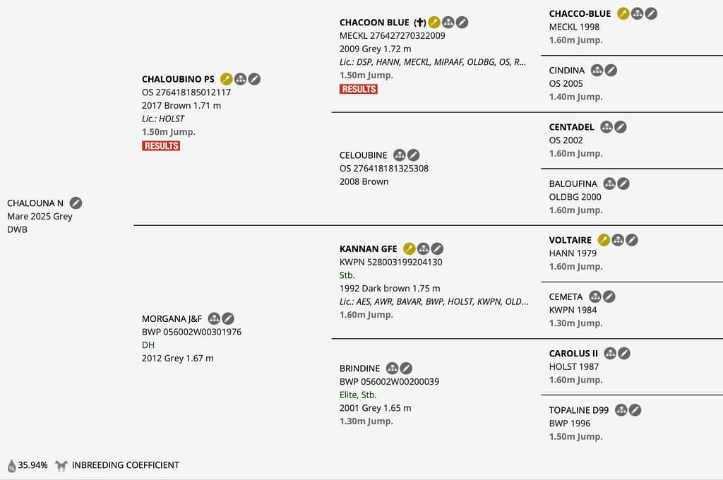 Chalouna N – Horsetelex pedigree overview