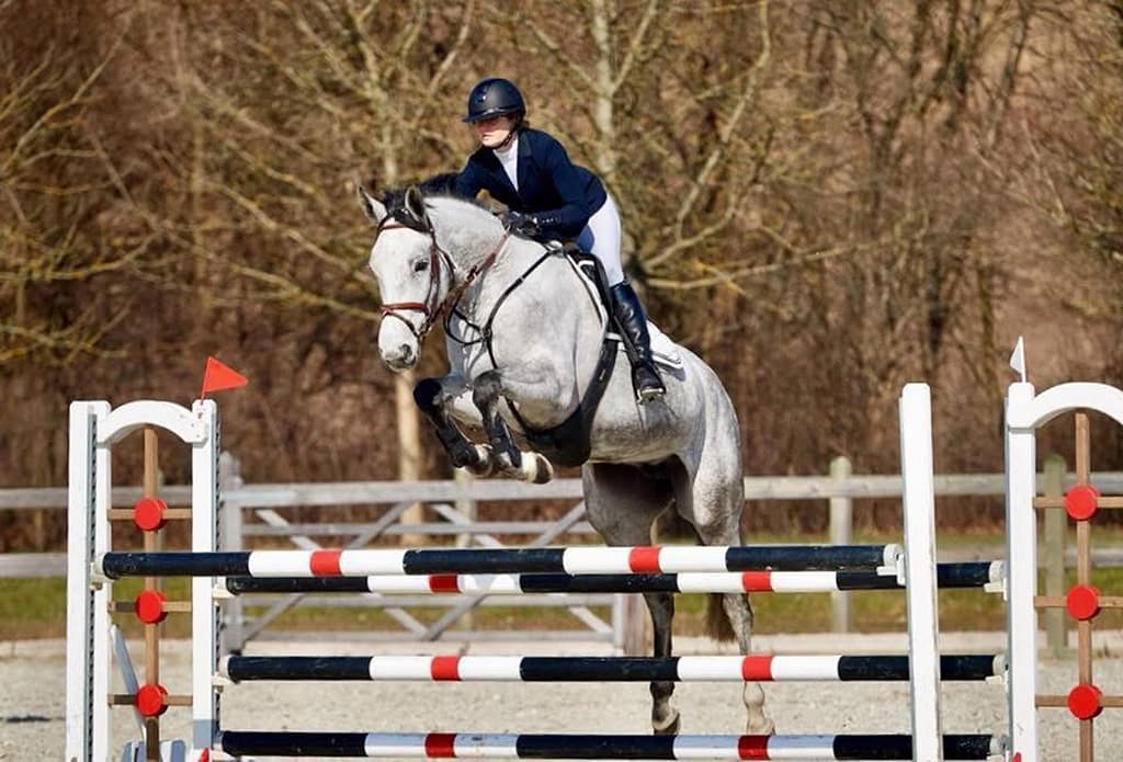 Chelsea ERDH – Holsteiner mare by Cormint x Corrado I (2013) jumping under rider