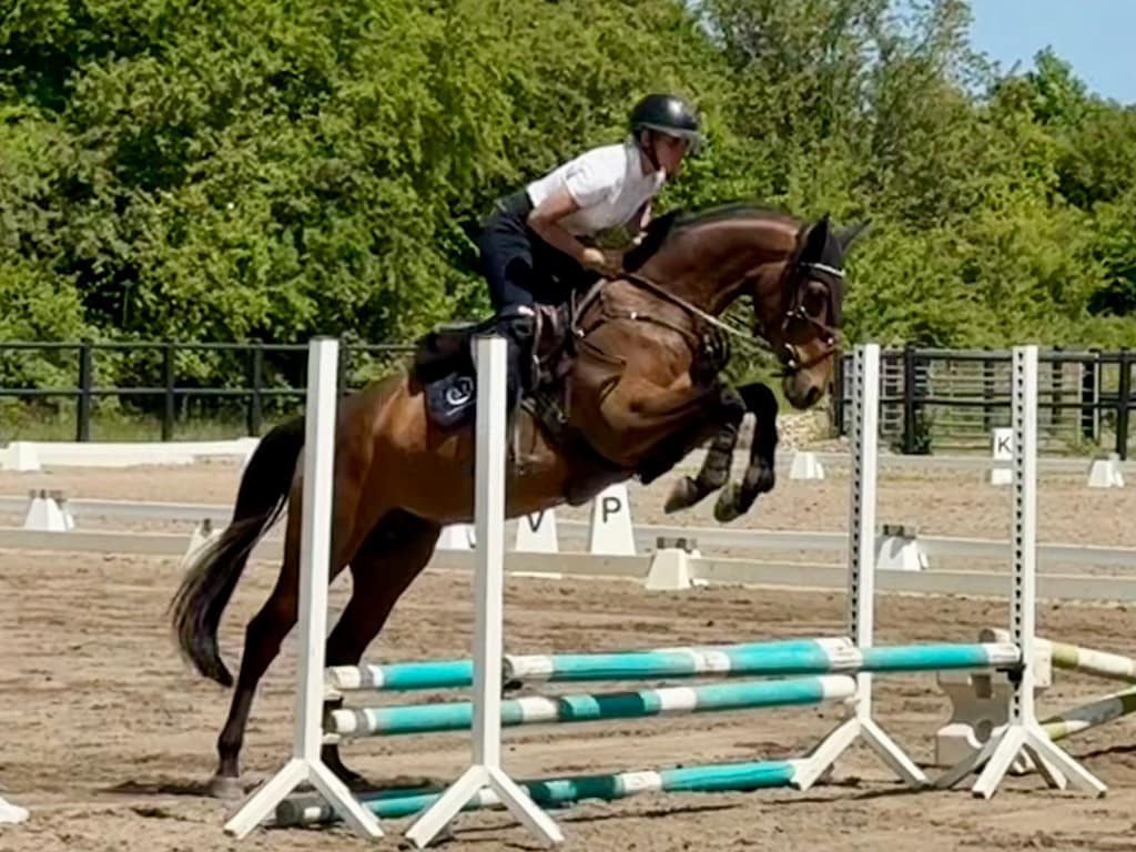 Cantos – gelding by Cantolar x Favorit Ask (2020) jumping under rider