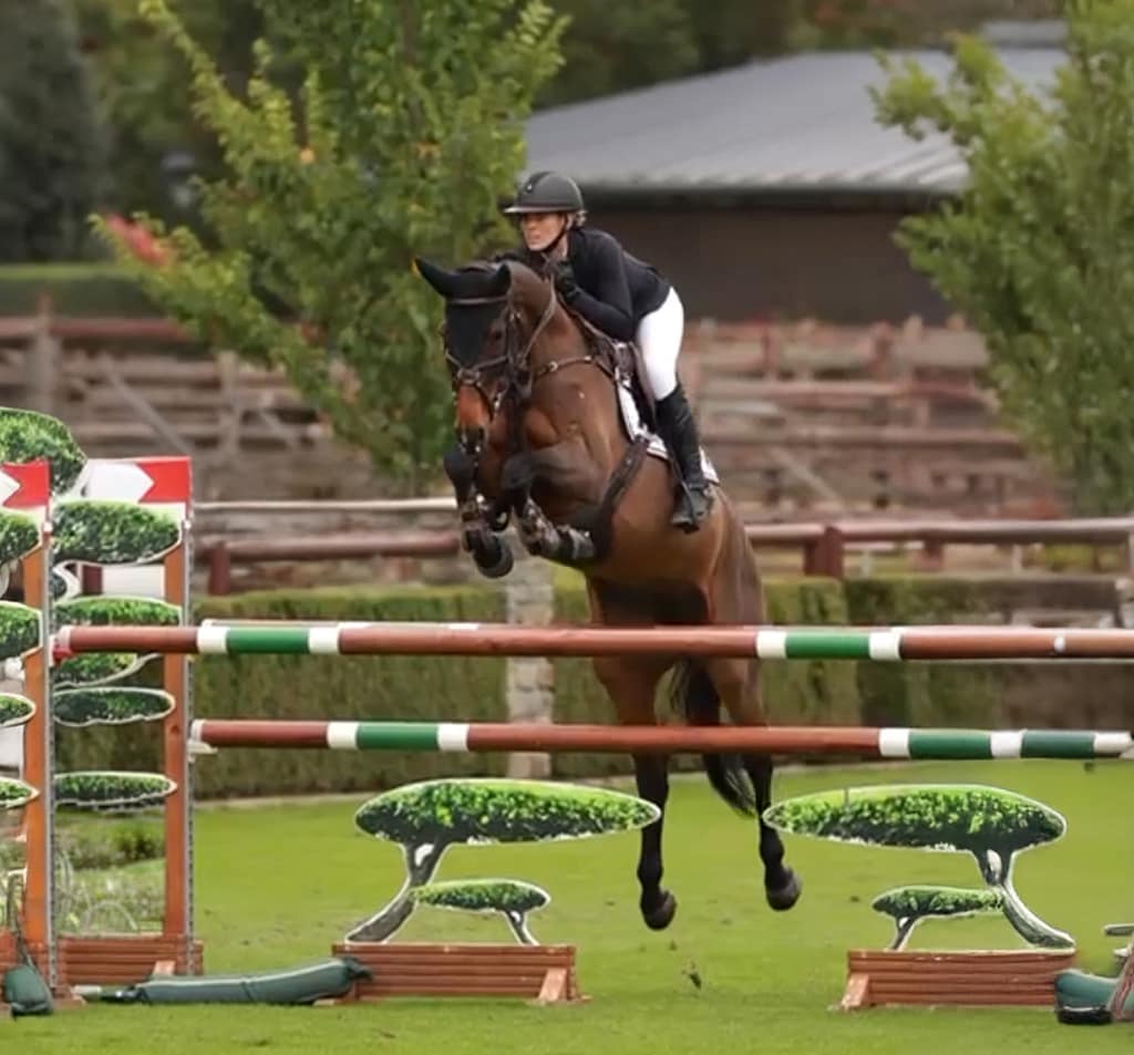 Aura – mare by Cantolar x Favorit Ask (2017) jumping under rider